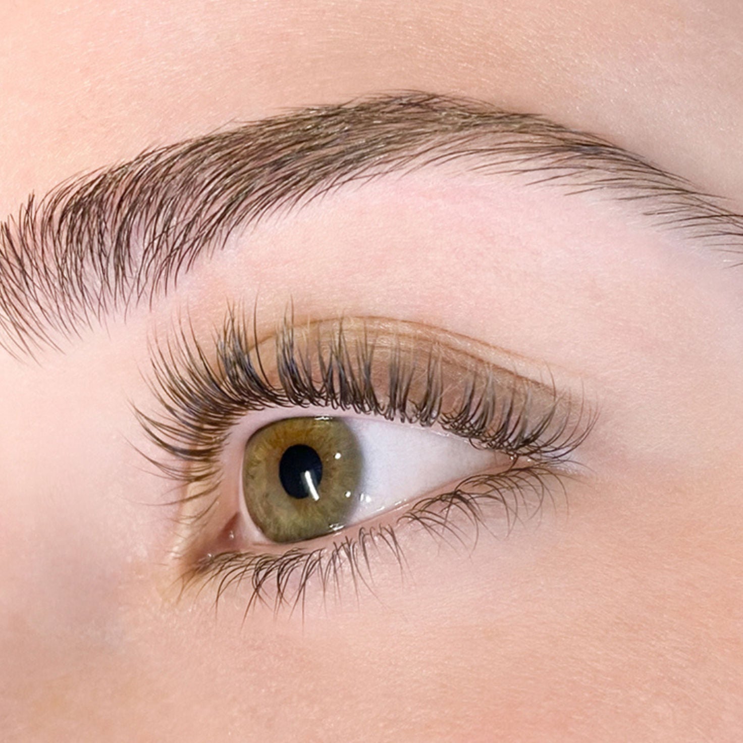 close-up of white woman's eye with threaded brows and a lash lift