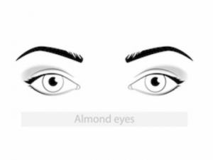 a diagram of almond shaped eyes