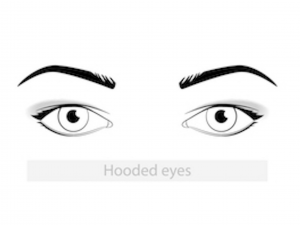 diagram of the hooded eye unique eye shape