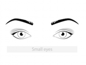 diagram of the small eyes unique eye shape