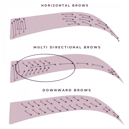 a graphic illustration showing how to identify which way your brow hairs grow