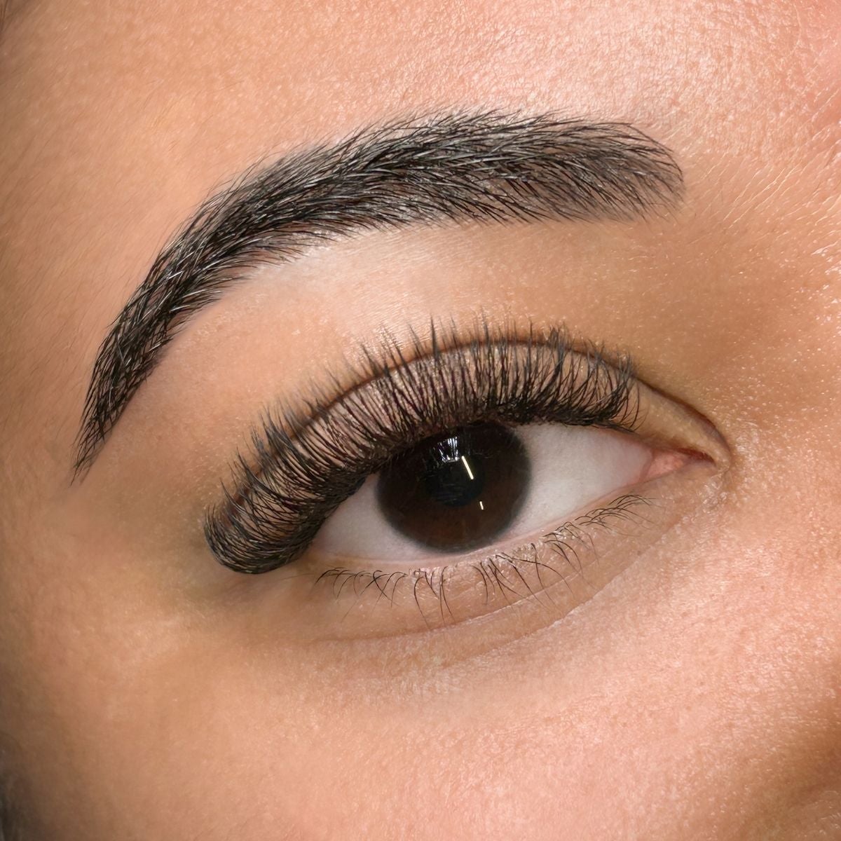 Hybrid lashes applied with The Lash Lounge's LED-curing system.