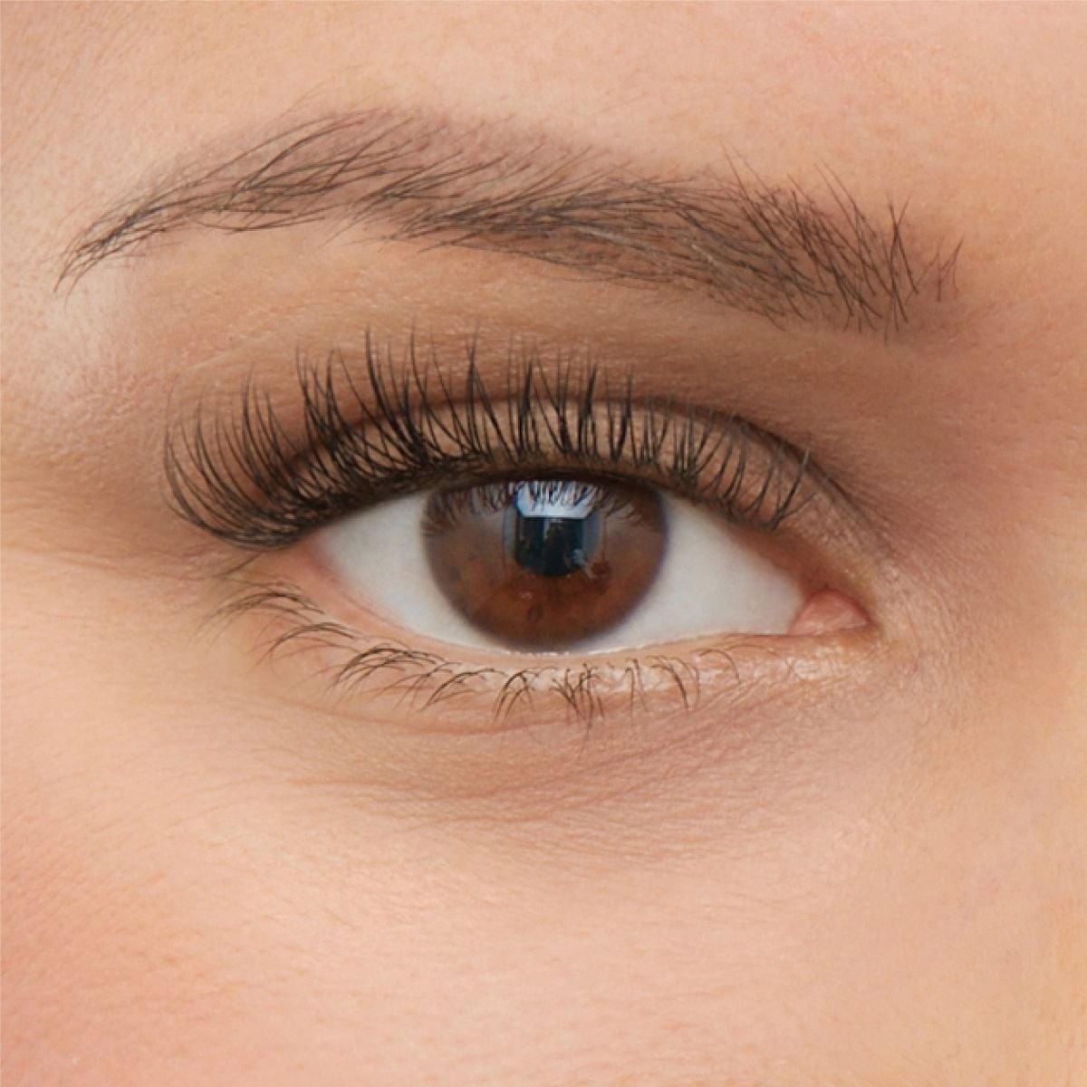 Closeup of brown eye and classic level 3 lash extensions