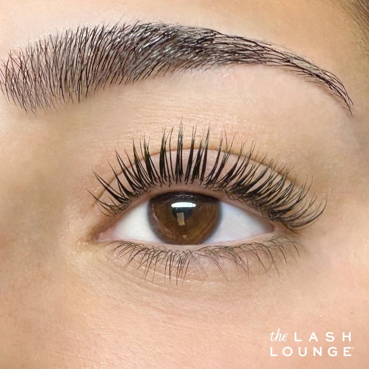 Closeup image of brown eye post-lash lift and tint service