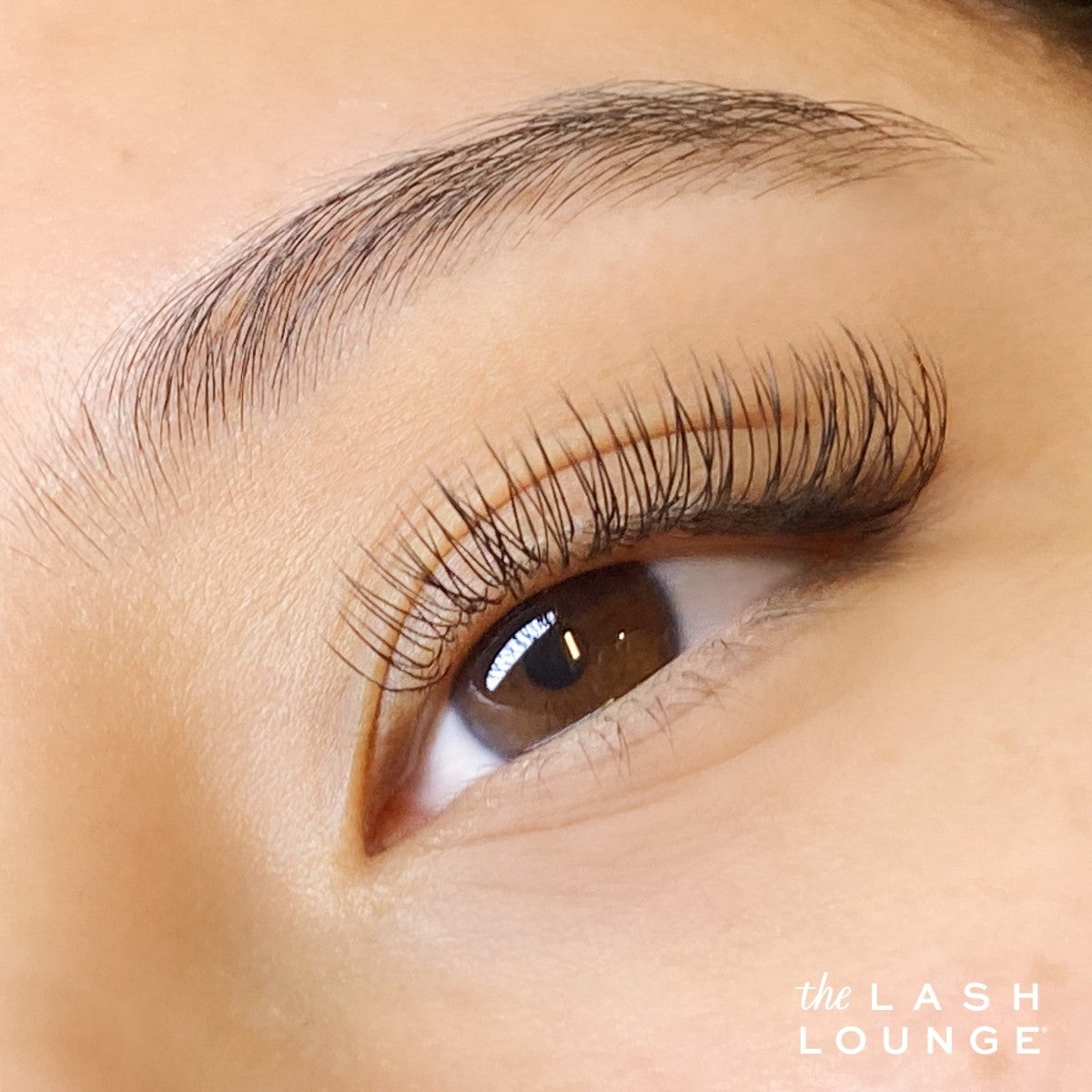 Up close image of lash extensions on brown eye.