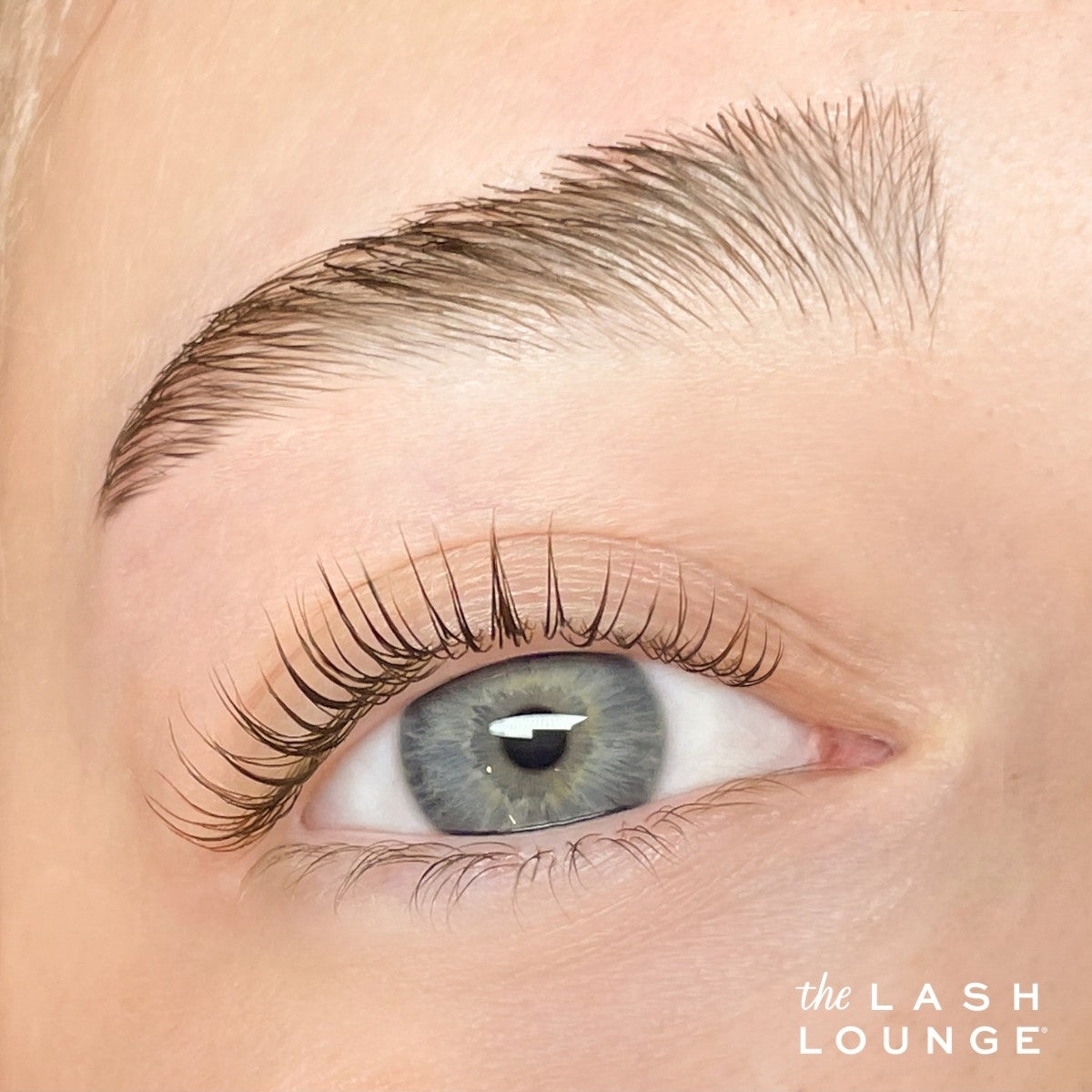 Up close image of white woman's blue eye after lash lift service has been completed.