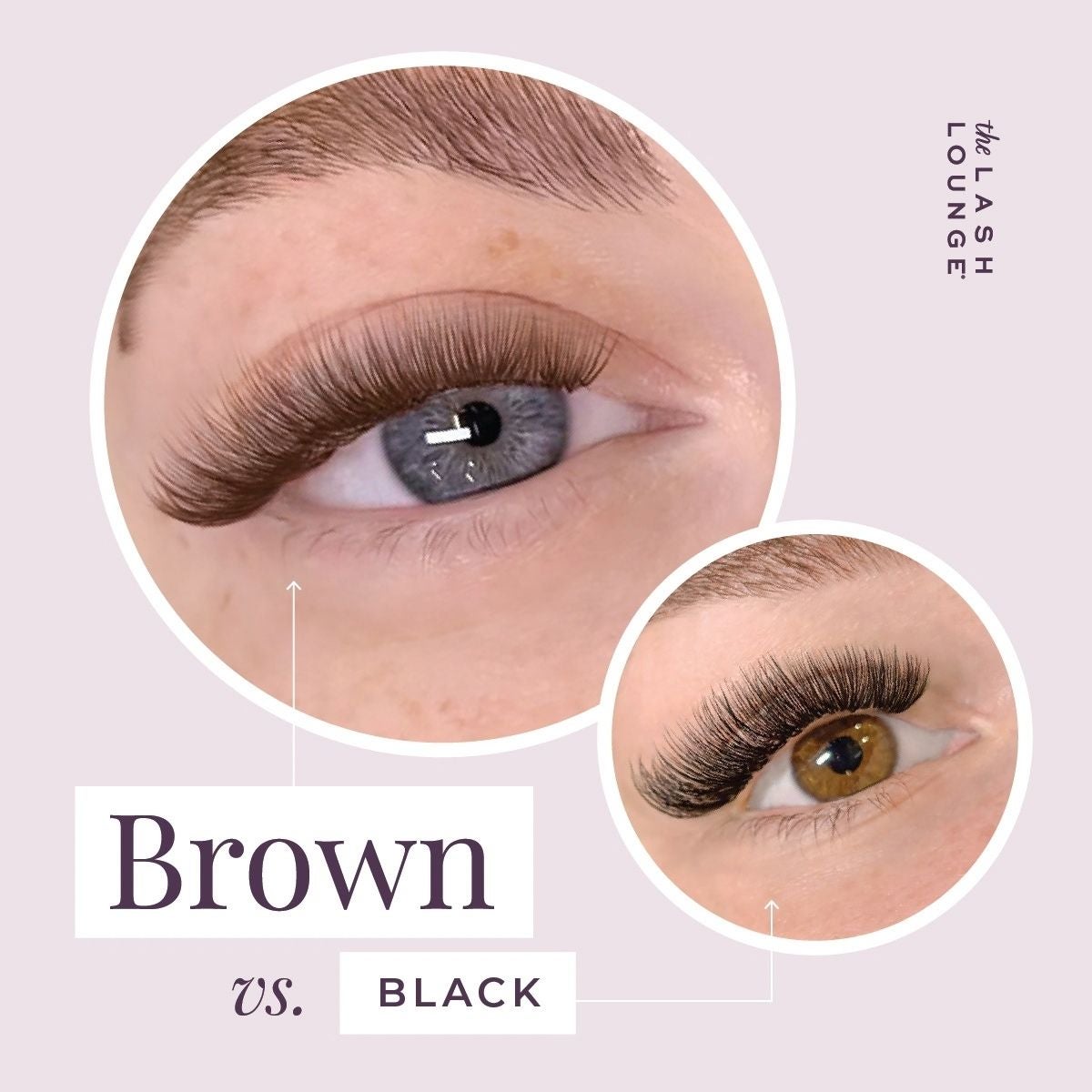 Comparison of brown lash extensions to black lash extensions.